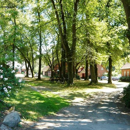 Ferienpension Lindenhof - Ferienwohnungen In Der Lueneburger Heide Marxen am Berge Екстер'єр фото