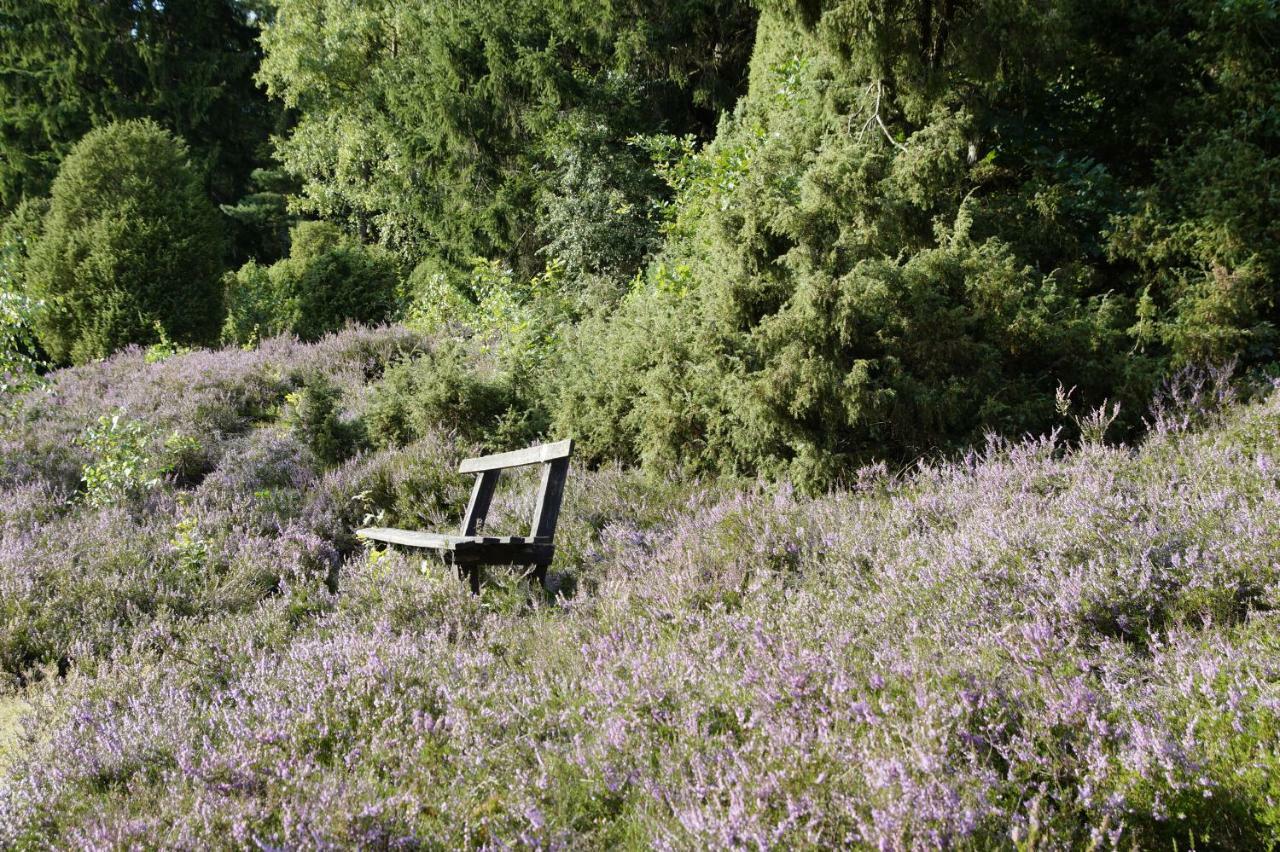 Ferienpension Lindenhof - Ferienwohnungen In Der Lueneburger Heide Marxen am Berge Екстер'єр фото